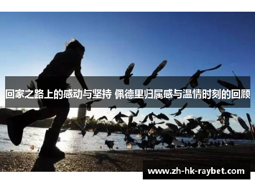 回家之路上的感动与坚持 佩德里归属感与温情时刻的回顾