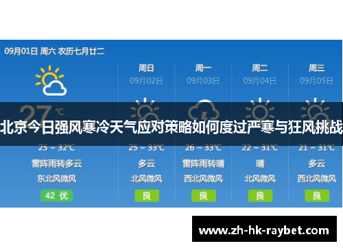 北京今日强风寒冷天气应对策略如何度过严寒与狂风挑战